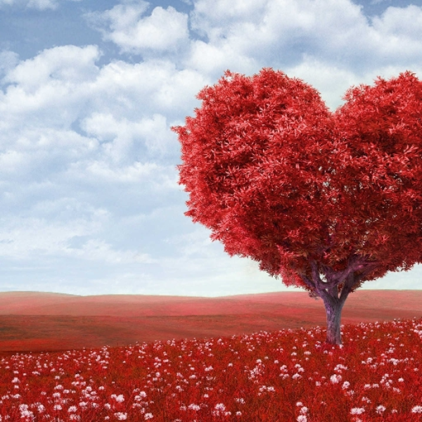 <3