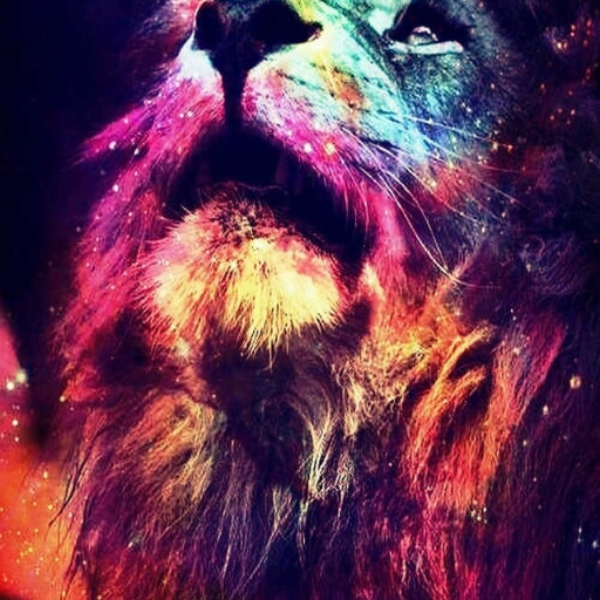 Rise of Leo