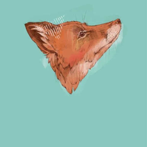Rising Fox (XRB,Fallizm)