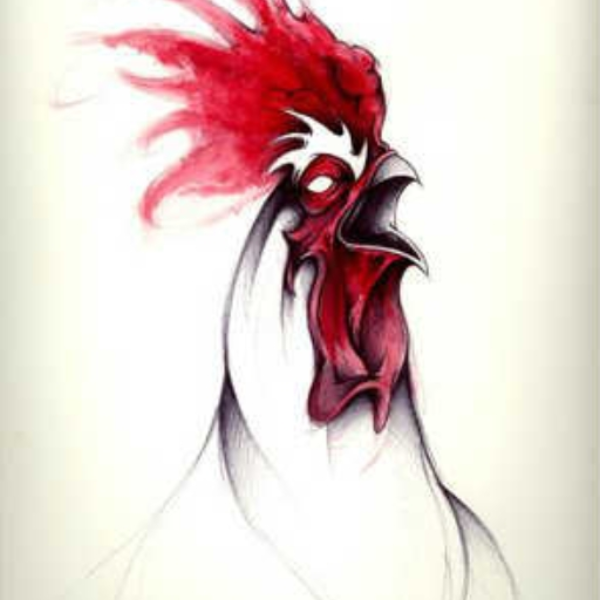 Rising Rooster