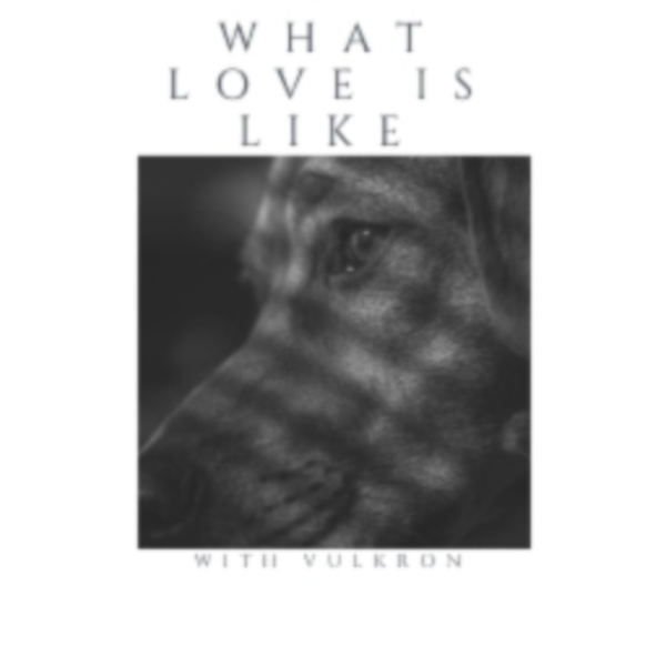 What love is Like Ft.Yaͣboͦiͥiͥ Ft.Vulkron
