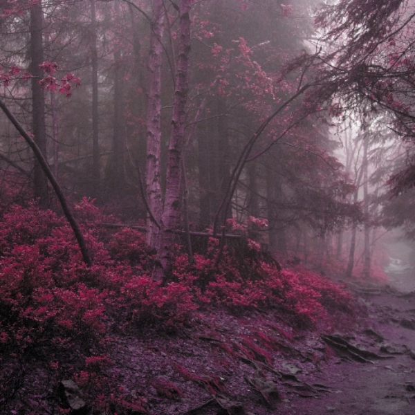 PuRpLe MisT [ subs test ]