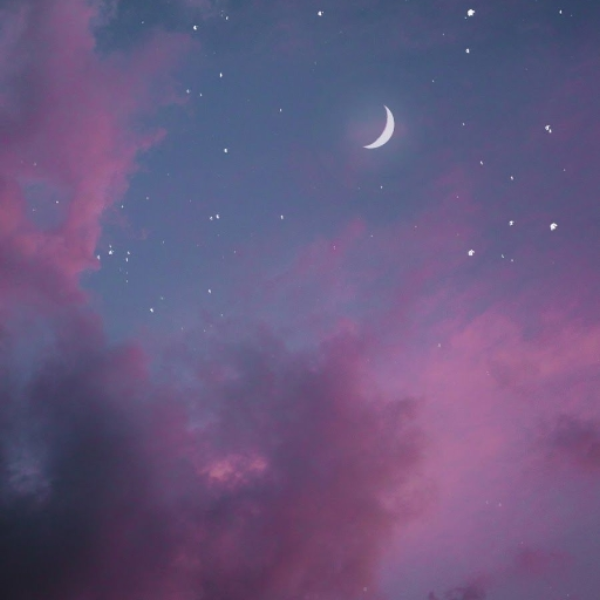 STARSHIPS