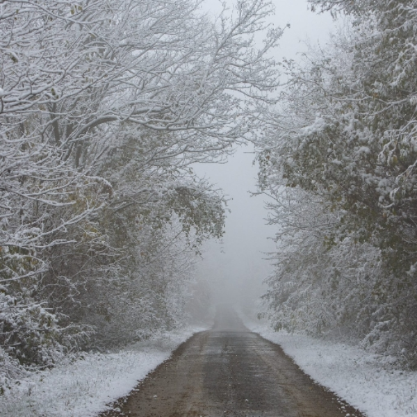 Snowfall