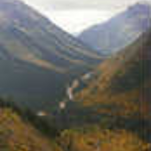 Road To the Mountains