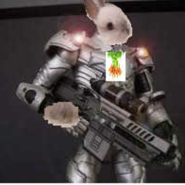 Robo Bunny
