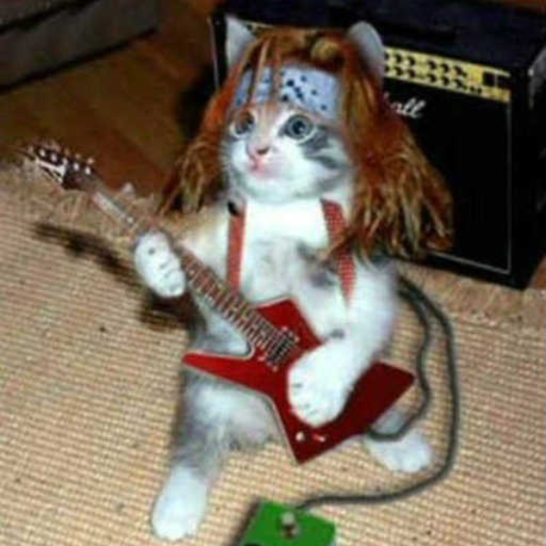 Rock On