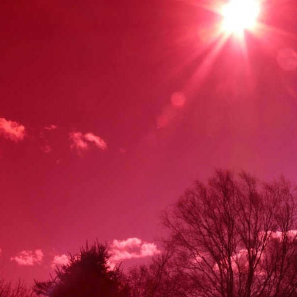 Rose-tinted Glasses