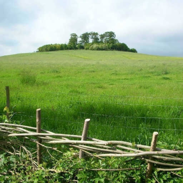 Roundhill2