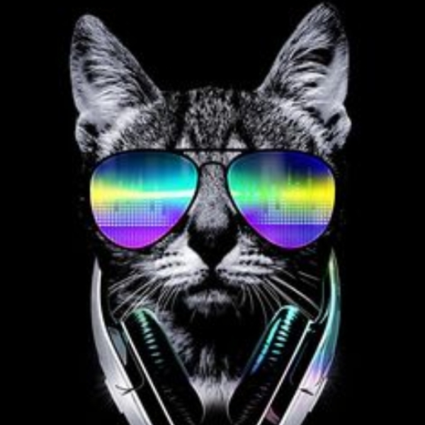 By: Dj Skittle-  Club Rap