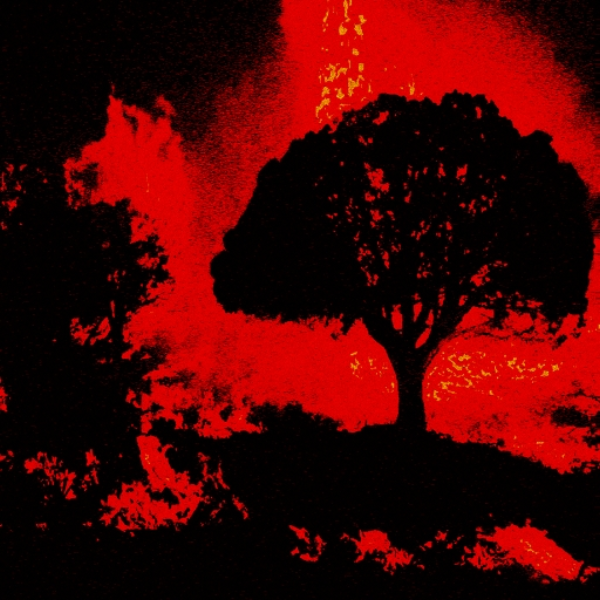 I WATCH IT ALL BURN