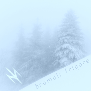 brumali frigore