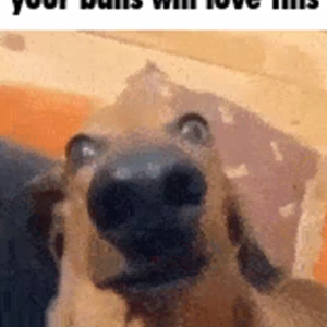 BALLS IN YO JAW [Jetdarc Entry]