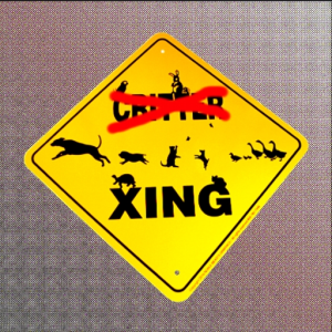 Godzilla Xing