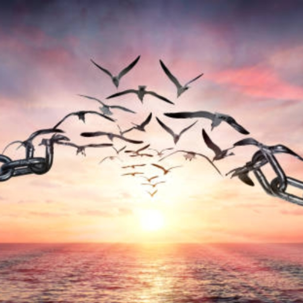 Let Me Free