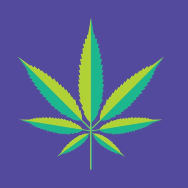 Sack o' Greens