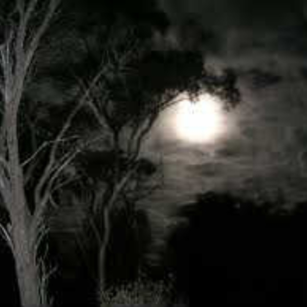 Scary Night