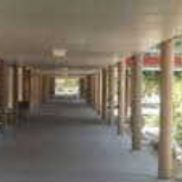 school