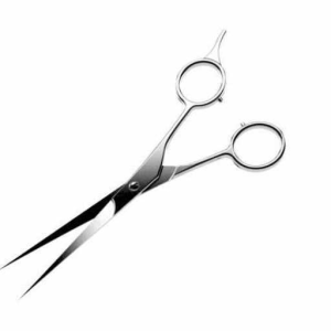 Scissors (unfinished)