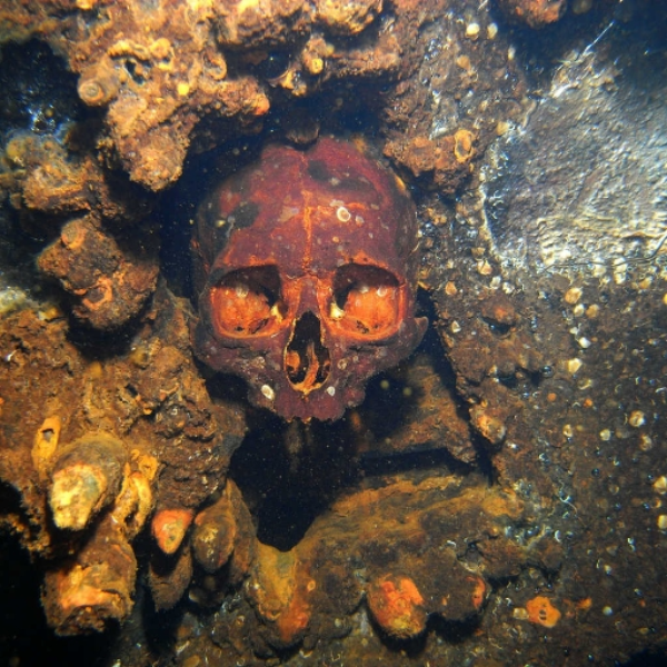 Scuba Diver