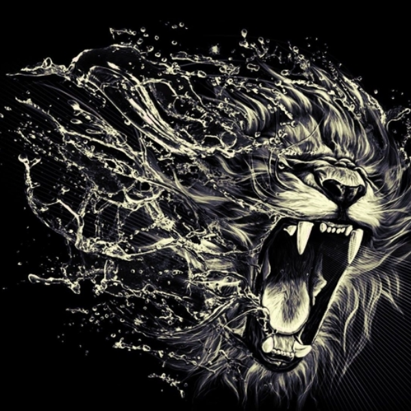 ' R O A R"