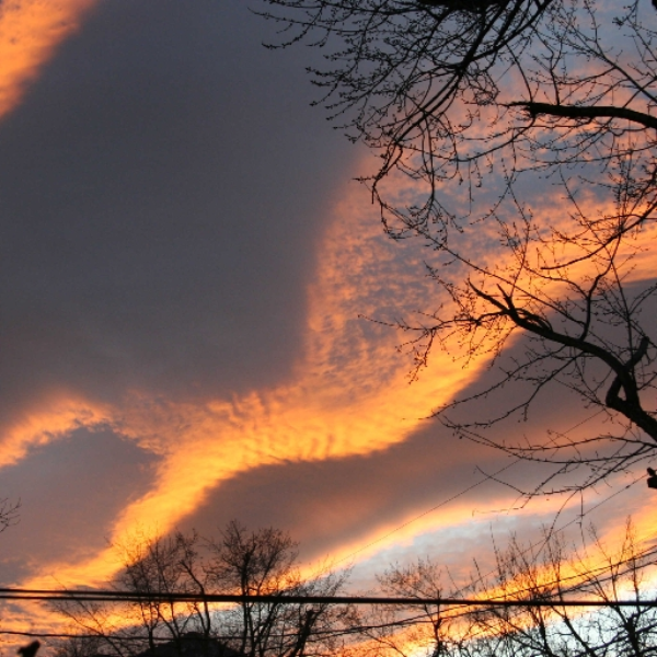 Secret Mystery