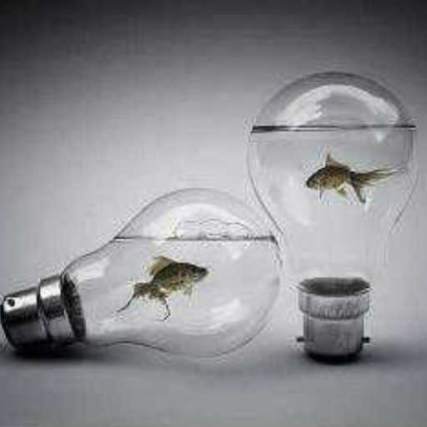 Self-Inflicted (re-worked)