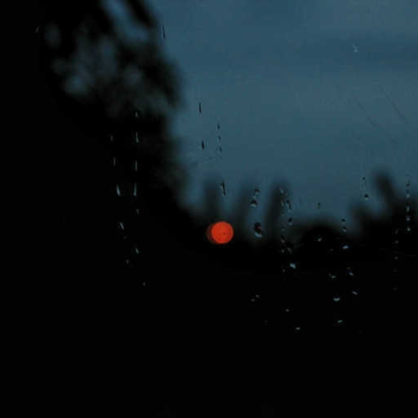sentiment