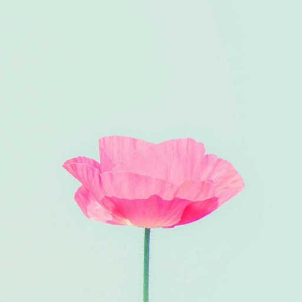 Serendipity