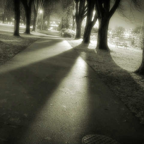 Shadows