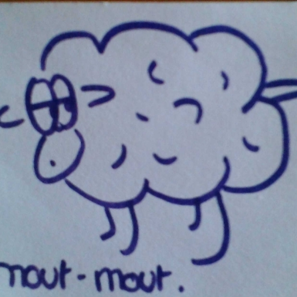 Sheep