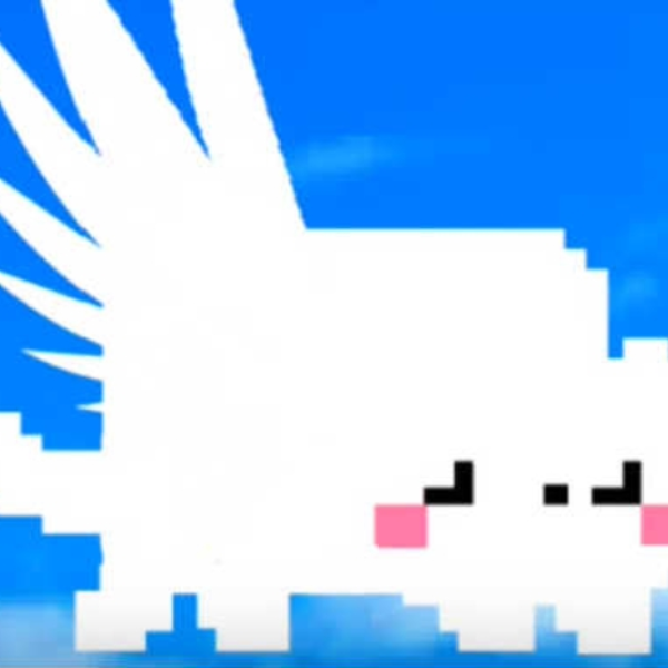 Shining cat