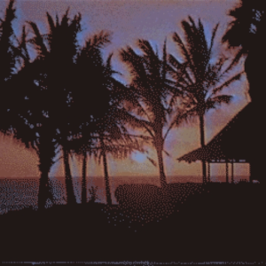 Paradise
