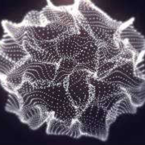 Shock Waves