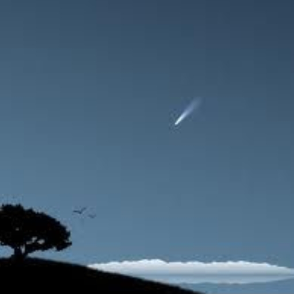 Shooting Star