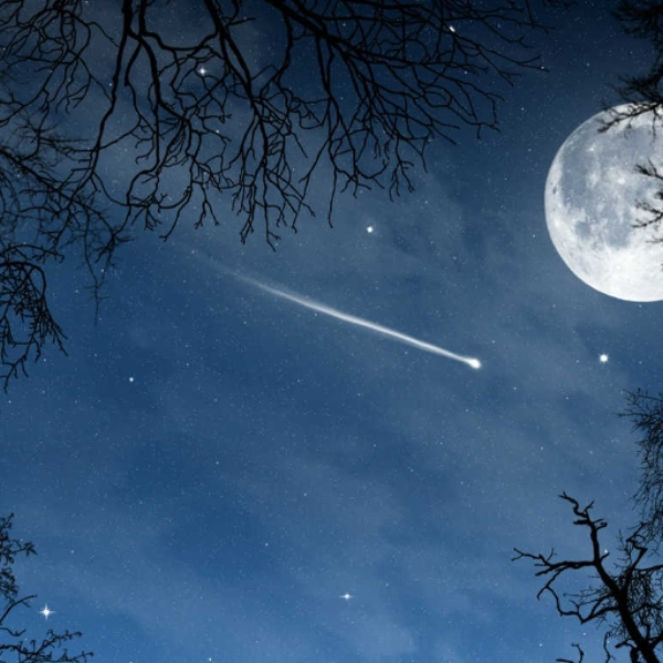 Shooting Stars