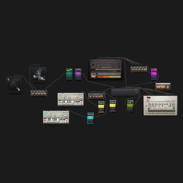 shortloop1