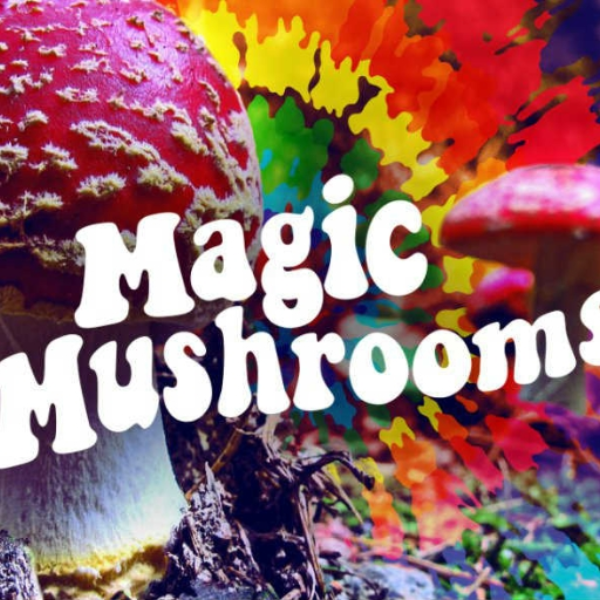 Shroomopolis