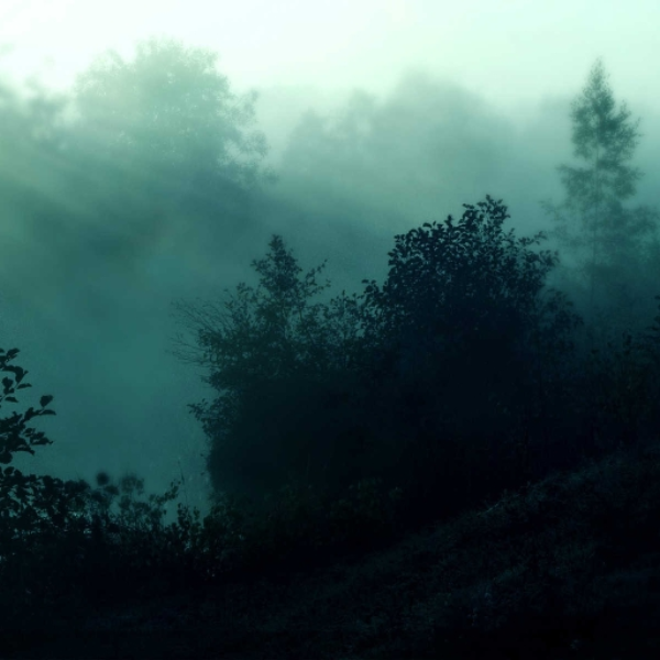 shrouds