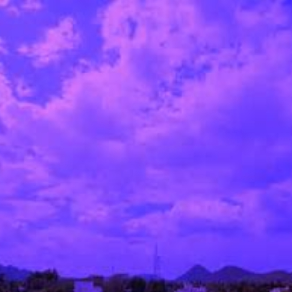 purple dreams