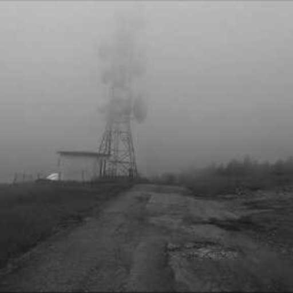 Signals