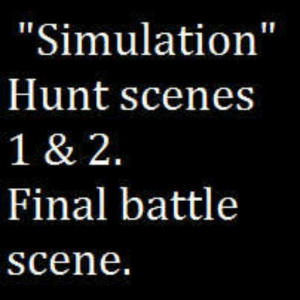"Simulation"