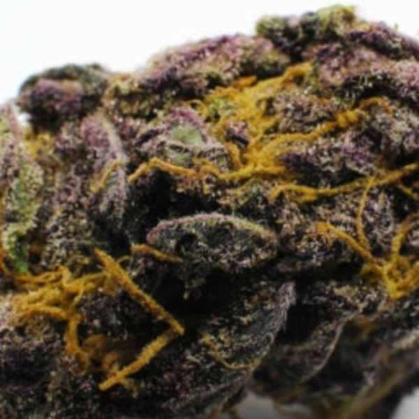 purple cheese