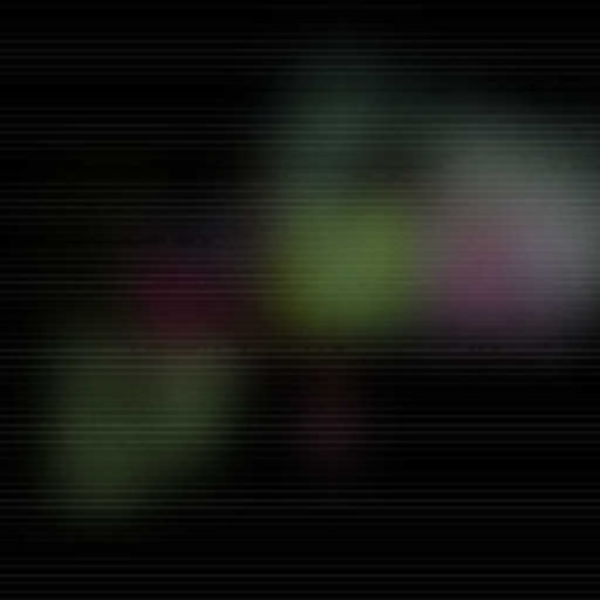 Afterlife Highway (2019)