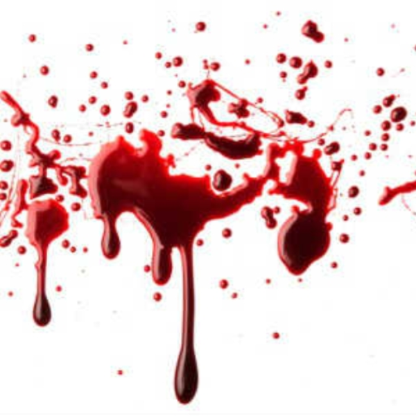 Slaughter
