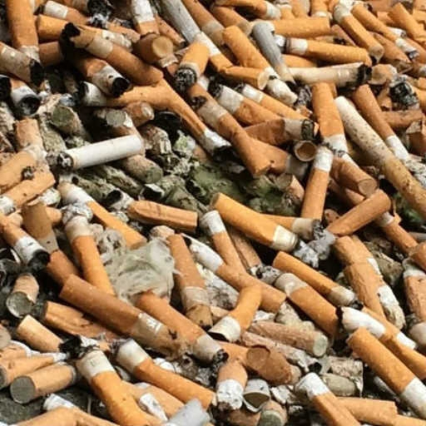 burnthemlikecigarettes
