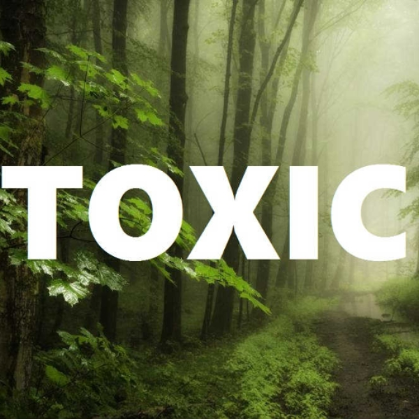 Slow Hard Beat "TOXIC" | Prod. Finesse BeatZ