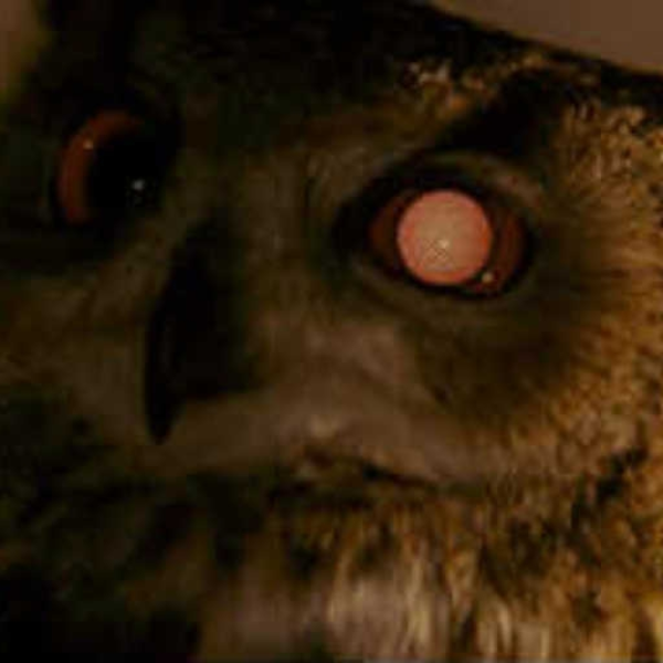 [...smiled...]