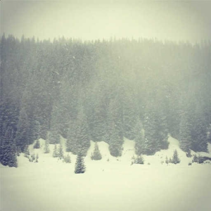 Snowfall (w/ Potasmic)