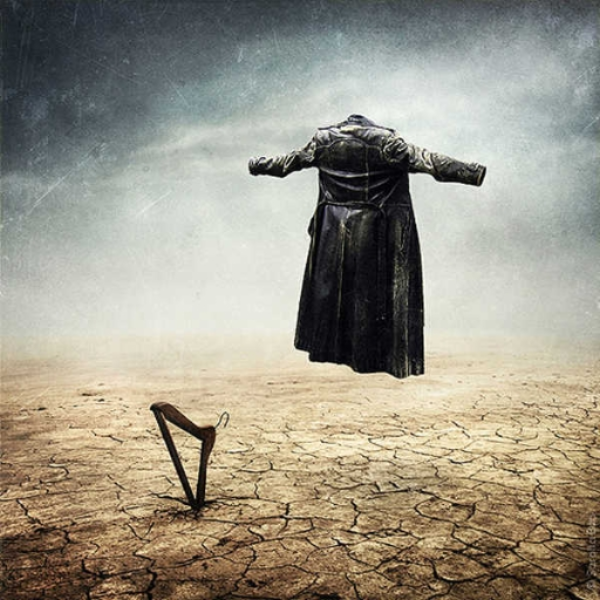 soar